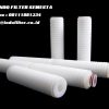 cartridge filter absolute 0.22 micron 10 inch